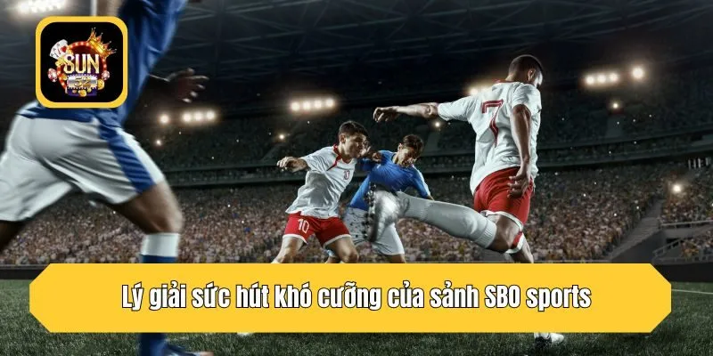 Lý giải sức hút khó cưỡng của sảnh SBO sports